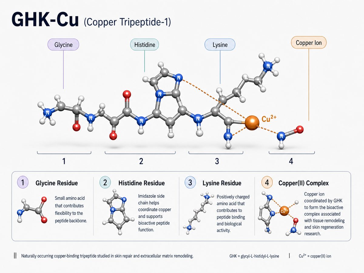 Estructura molecular de GHK-Cu con complejo de cobre