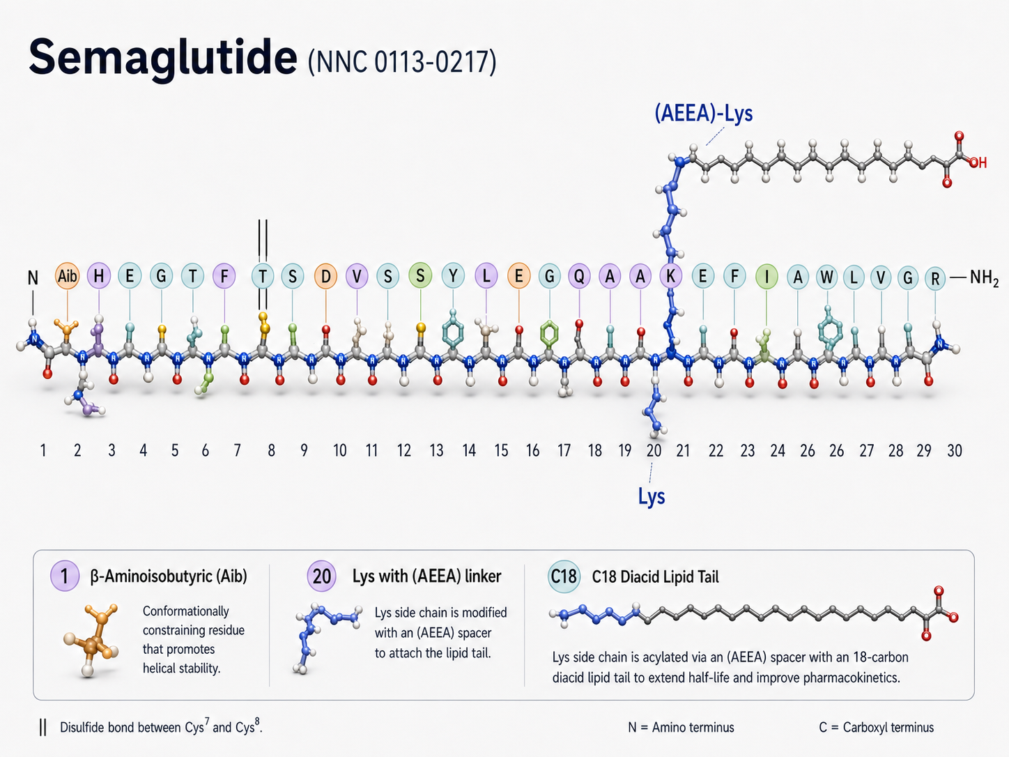 Semaglutide molecular structure