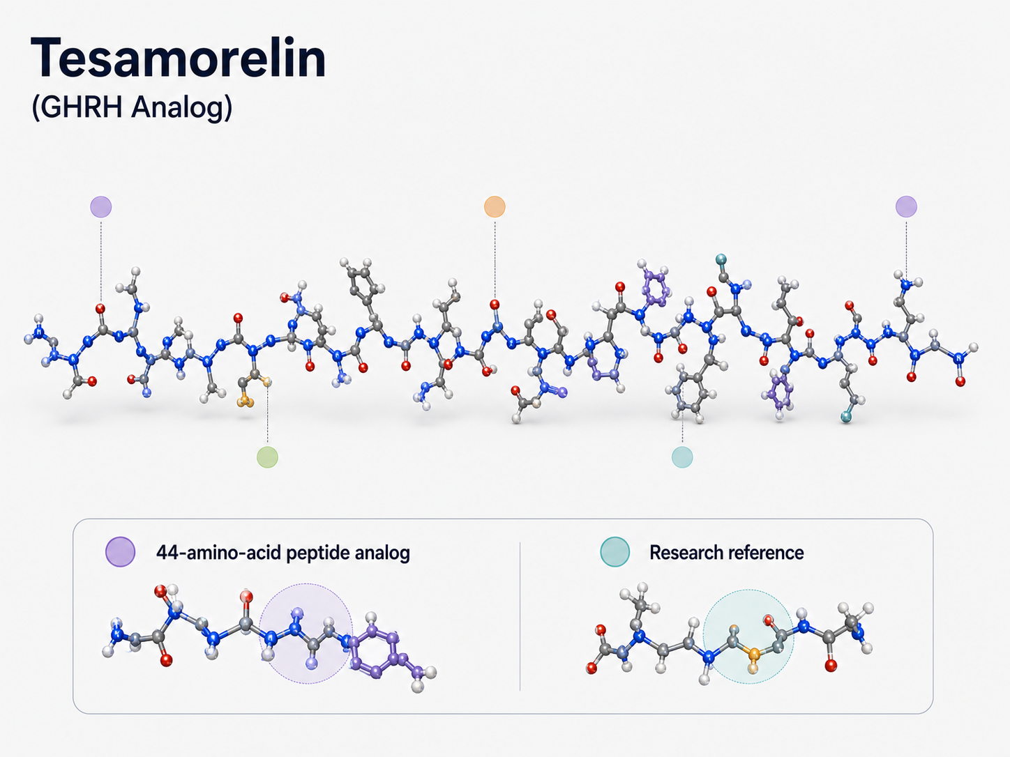 Visualización molecular de Tesamorelin como análogo de GHRH